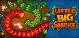 little big snake