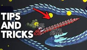 snake games tips and tricks